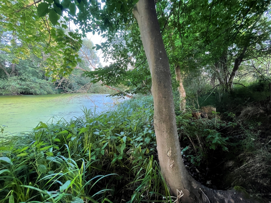 46+ Am Schwarzen Teich 2 Reinfeld, Alles über den immobilienmarkt,